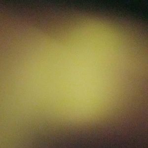 Meet your Posher, Ricky