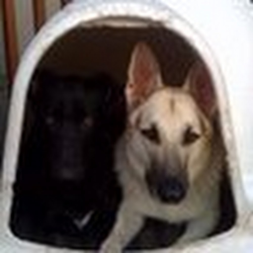 Meet your Posher, Gayle