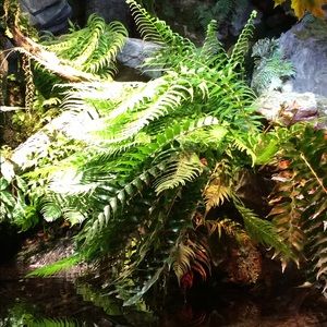 Meet your Posher, Nya