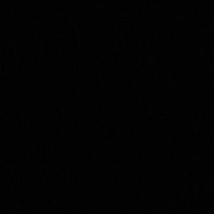 Meet your Posher, Laila