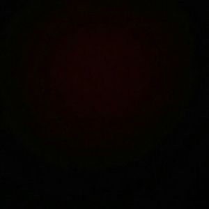 Meet your Posher, Peyton