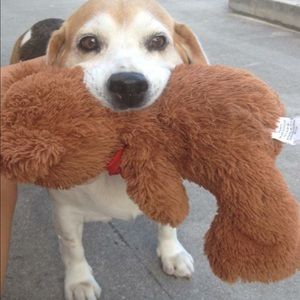 Meet your Posher, Giana