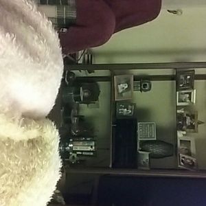 Meet your Posher, Wendy