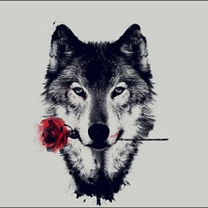 Meet your Posher, Sammy