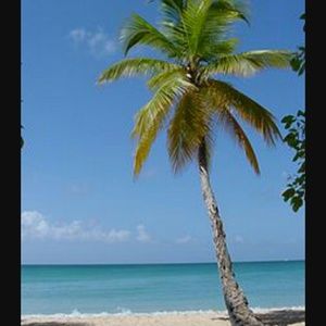 Meet your Posher, Melinda