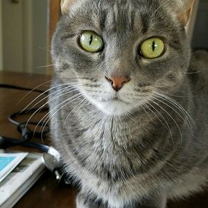 Meet your Posher, Diana