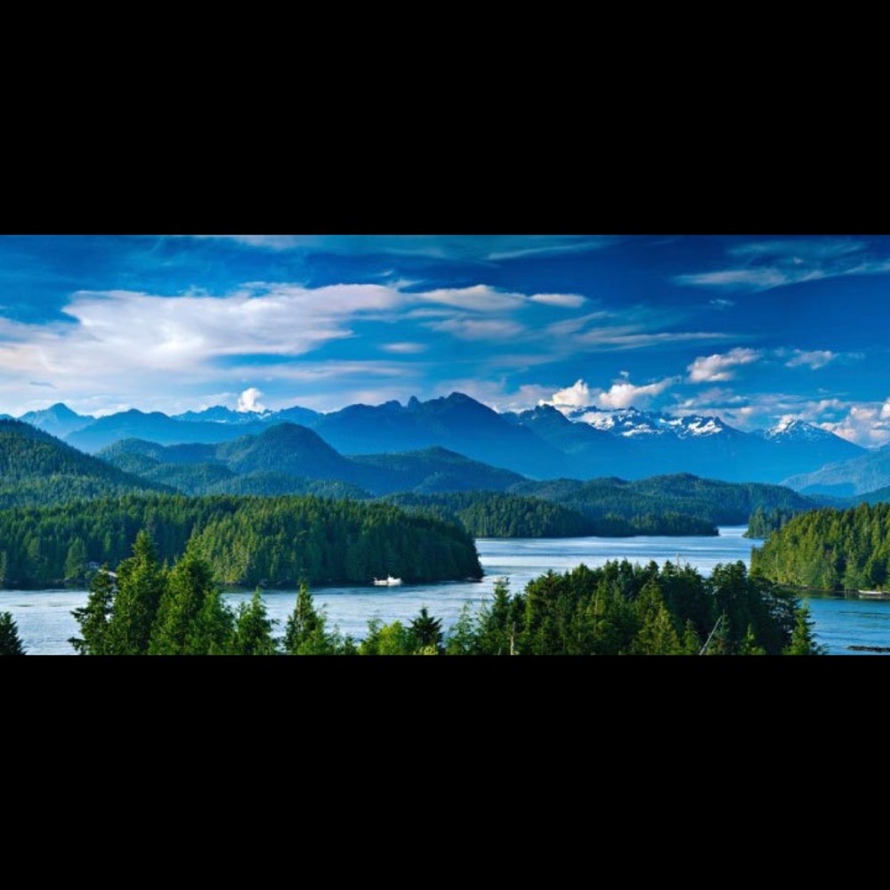 Meet your Posher, Cathy