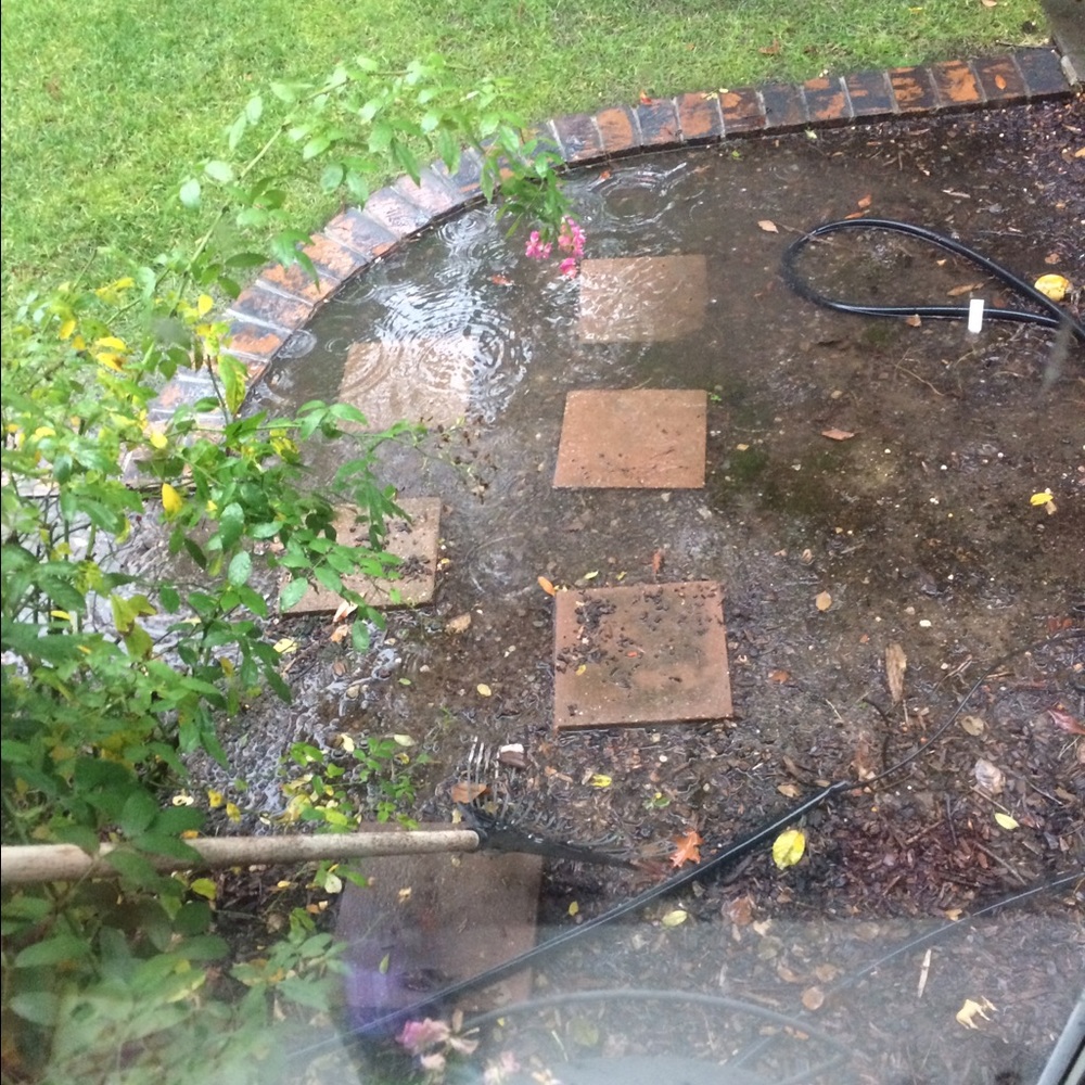 Meet your Posher, Dee