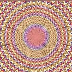 Meet your Posher, Pam