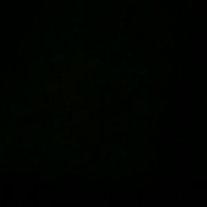 Meet your Posher, Randy