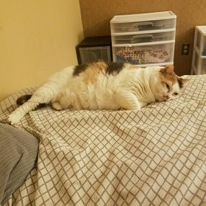 Meet your Posher, Jenny