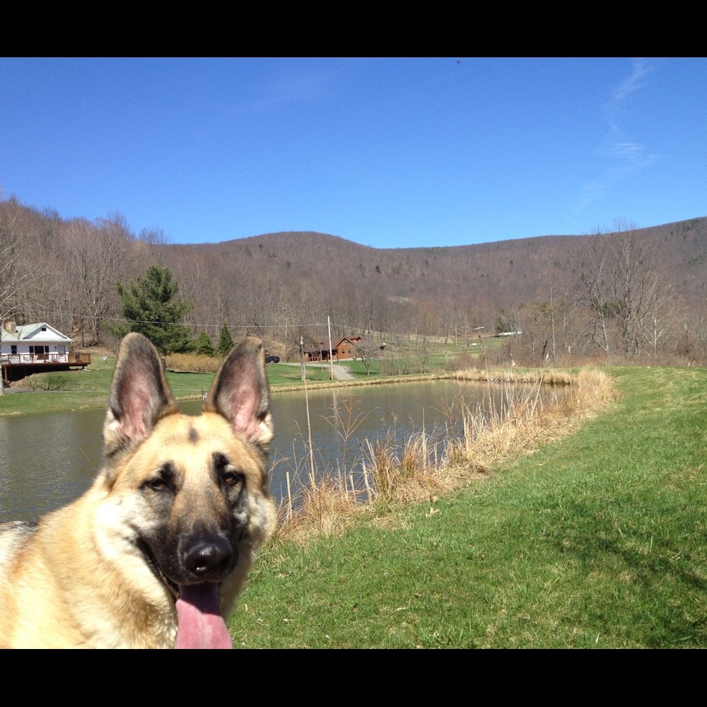 Meet your Posher, Cassie