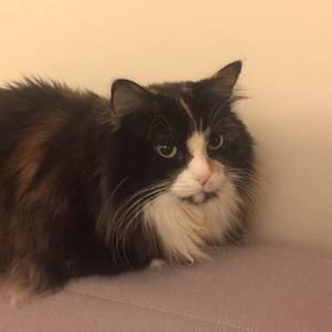 Meet your Posher, Chelsea