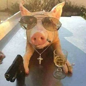 Meet your Posher, Eliud