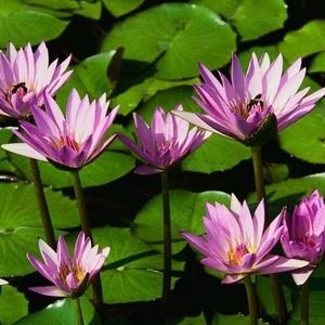 Meet your Posher, Karla