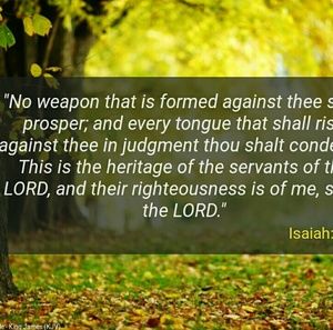 Meet your Posher, Lisania