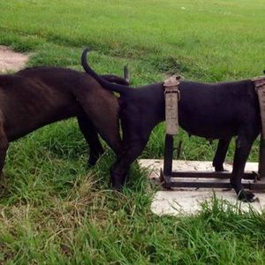 Meet your Posher, Jock