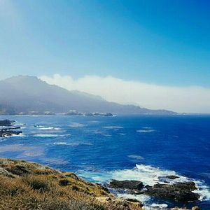 Meet your Posher, Nina