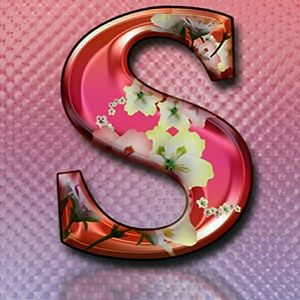 Meet your Posher, Dee