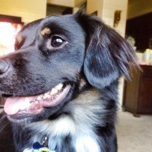 Meet your Posher, Alina kim