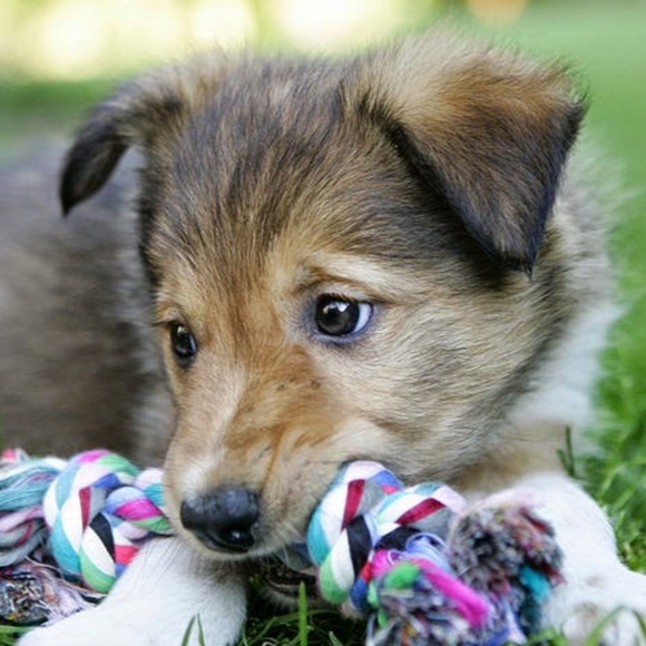 Meet your Posher, Suhani - Picture 1 of 1