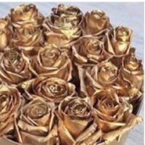 Meet your Posher, Veronica