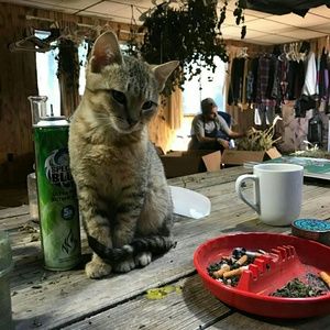 Meet your Posher, Summer