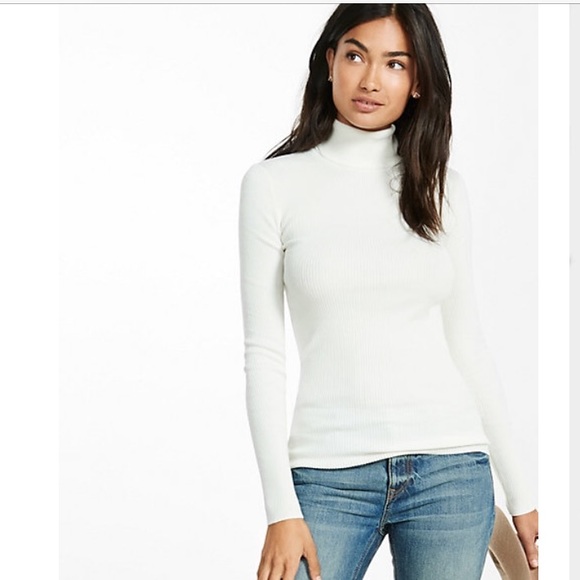 Express Sweaters - Express Turtleneck Sweater