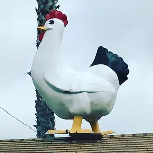 Meet your Posher, Kenia