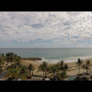 Meet your Posher, Molly