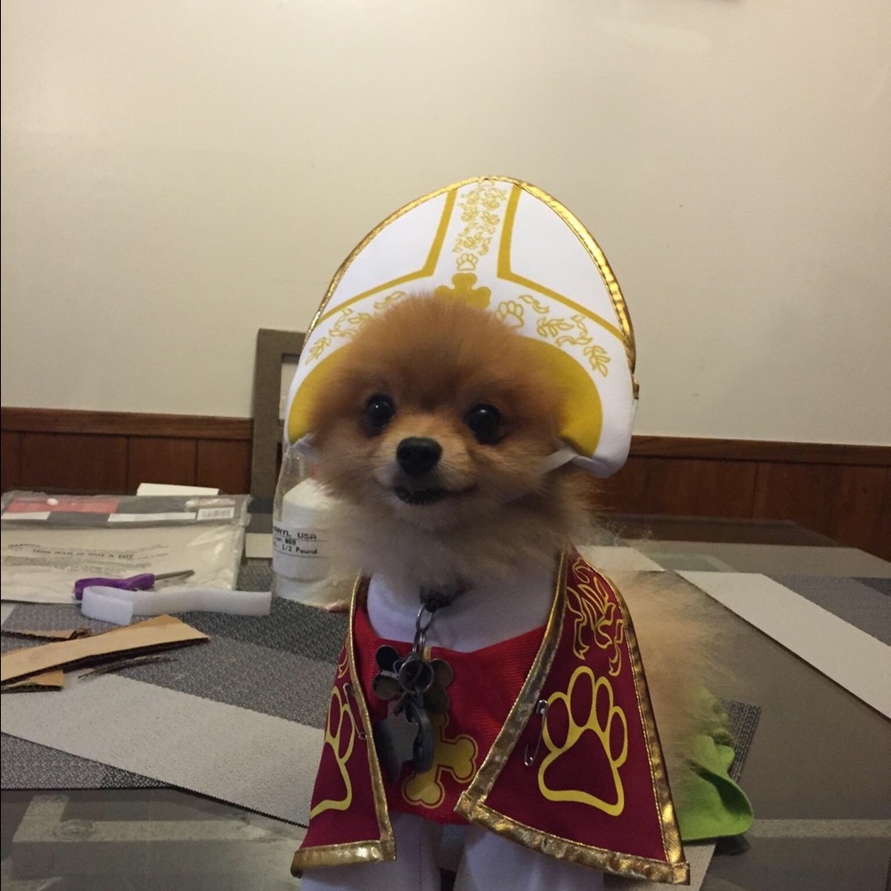 Meet your Posher, Thai