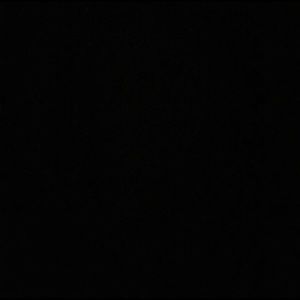 Meet your Posher, Shaun