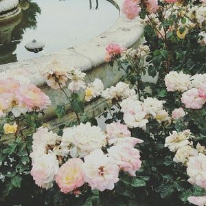 Meet your Posher, Day