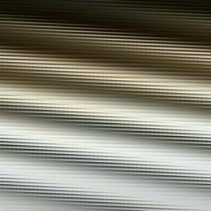 Meet your Posher, Lucy