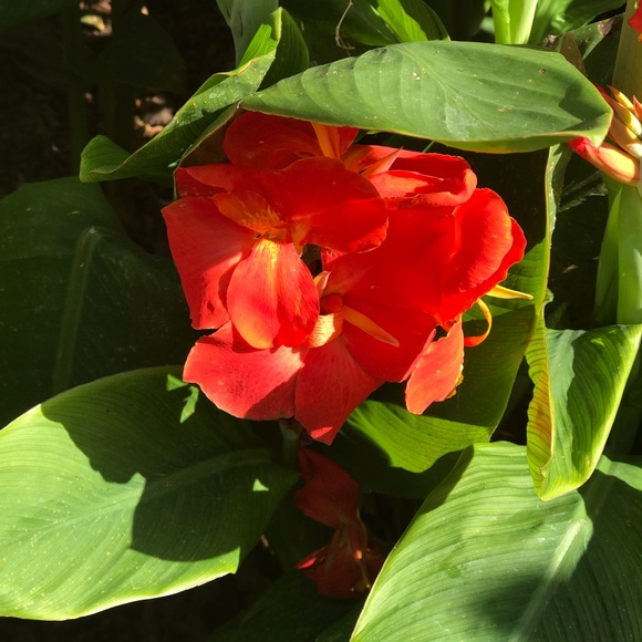 Meet your Posher, P - Picture 1 of 1