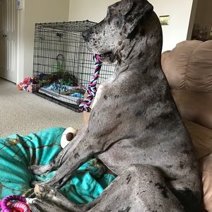 Meet your Posher, Jane