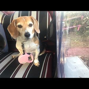 Meet your Posher, Sammi