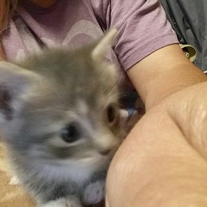 Meet your Posher, Ann