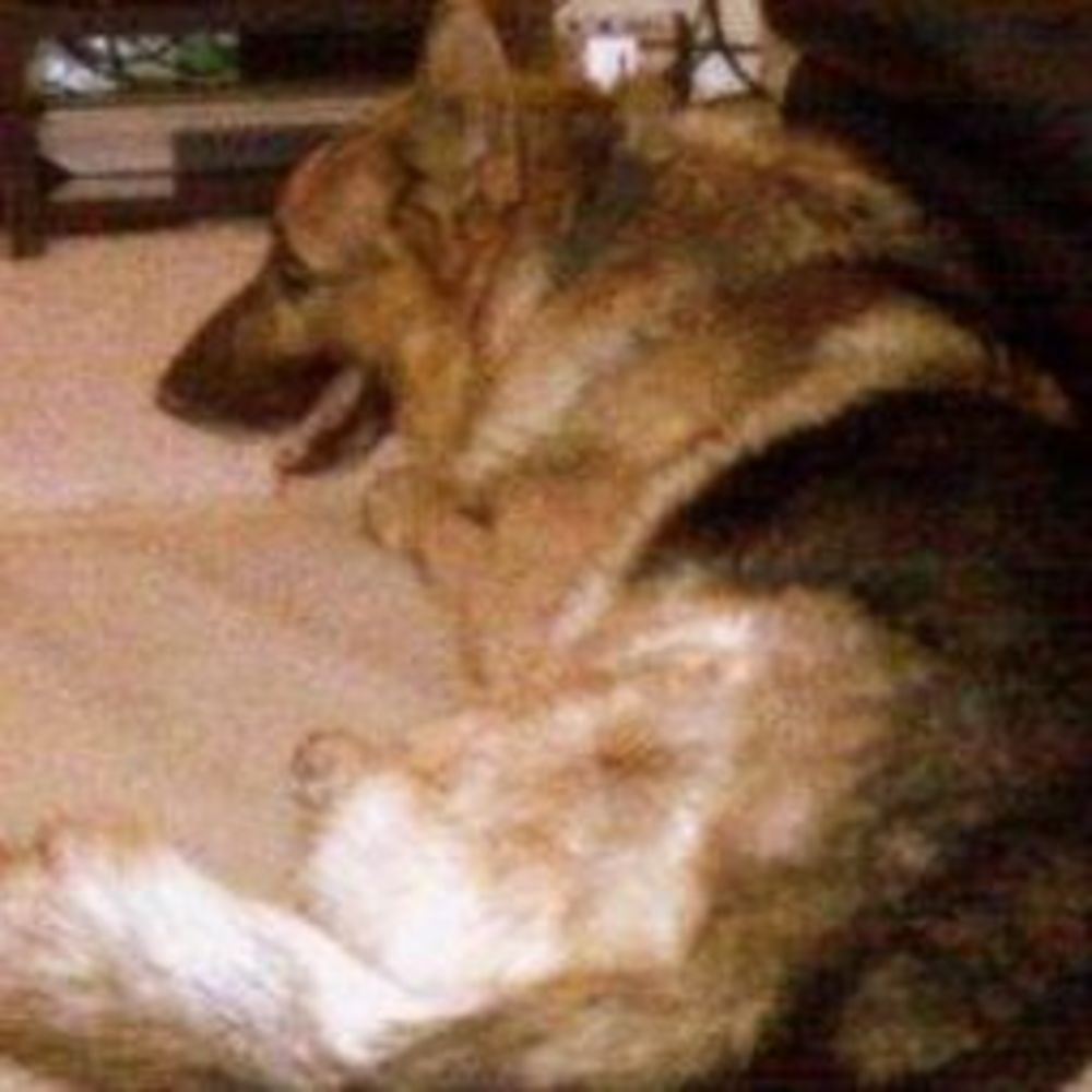 Meet your Posher, Spero