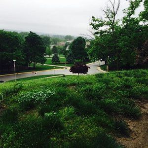 Meet your Posher, Firas