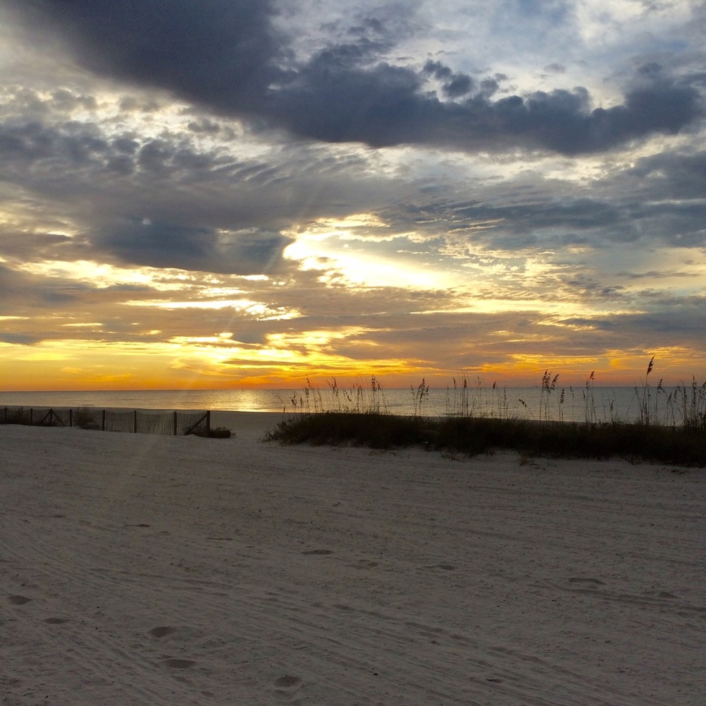 Meet your Posher, Callan