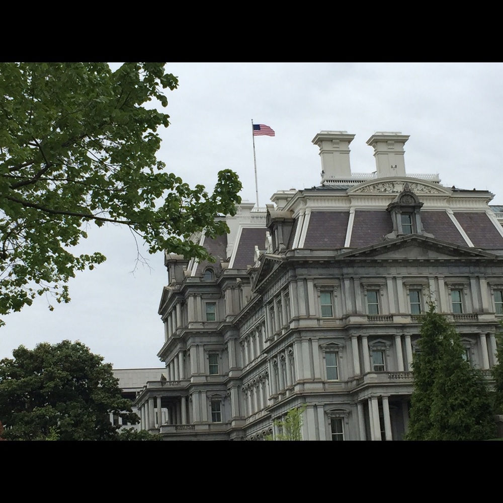 Meet your Posher, Giavonna