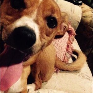 Meet your Posher, Maddie