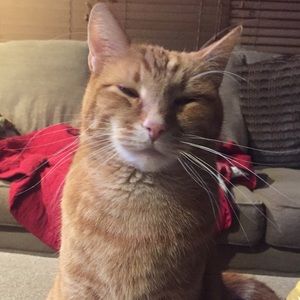 Meet your Posher, Kerrie