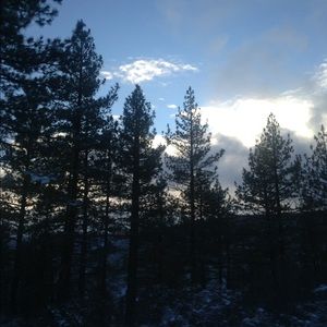 Meet your Posher, Kaden