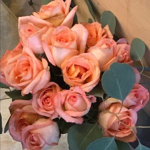 Meet your Posher, Miranda