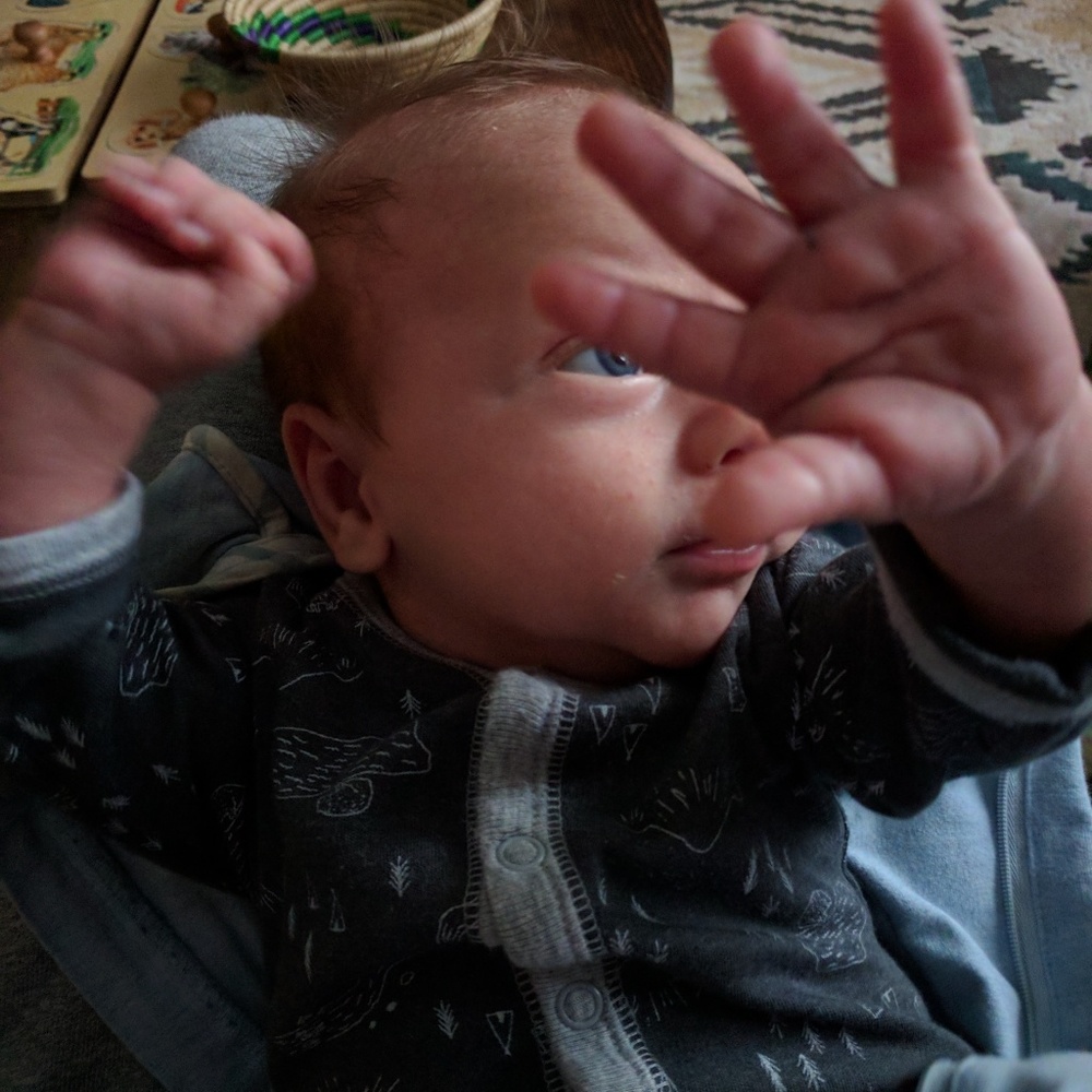 Meet your Posher, Amy