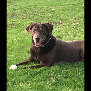 Meet your Posher, Mary beth