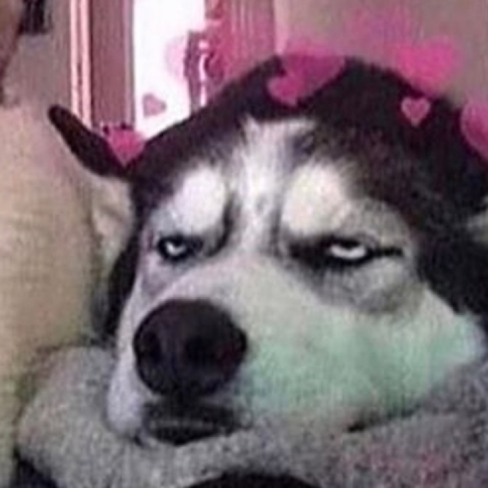 Meet your Posher, Kai