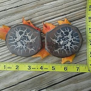 Dragon Septarian Fossil Stone Slices, Crystal